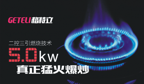 格特立厨卫电器 喜获“中国十大燃气灶品(图2)